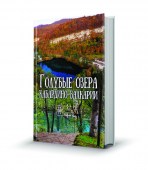 имитация книжки копия56